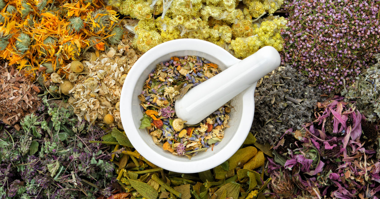 Use these herbs in natural healing. Use these herbs in natural healing.