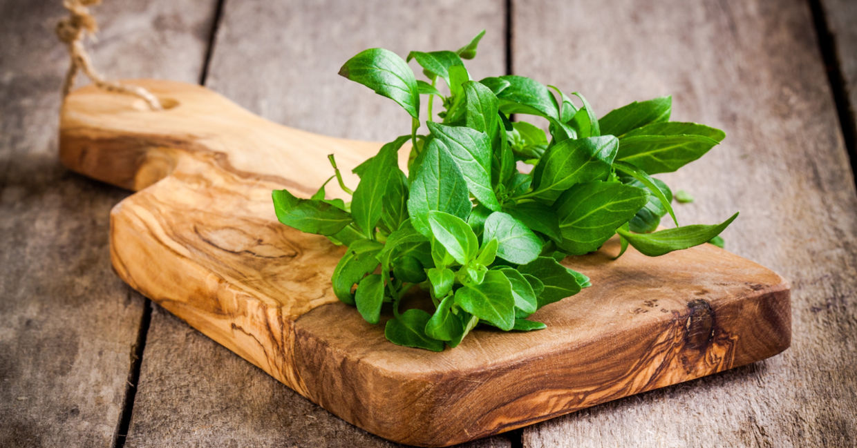 Basil has powerful antioxidants. Basil has powerful antioxidants.