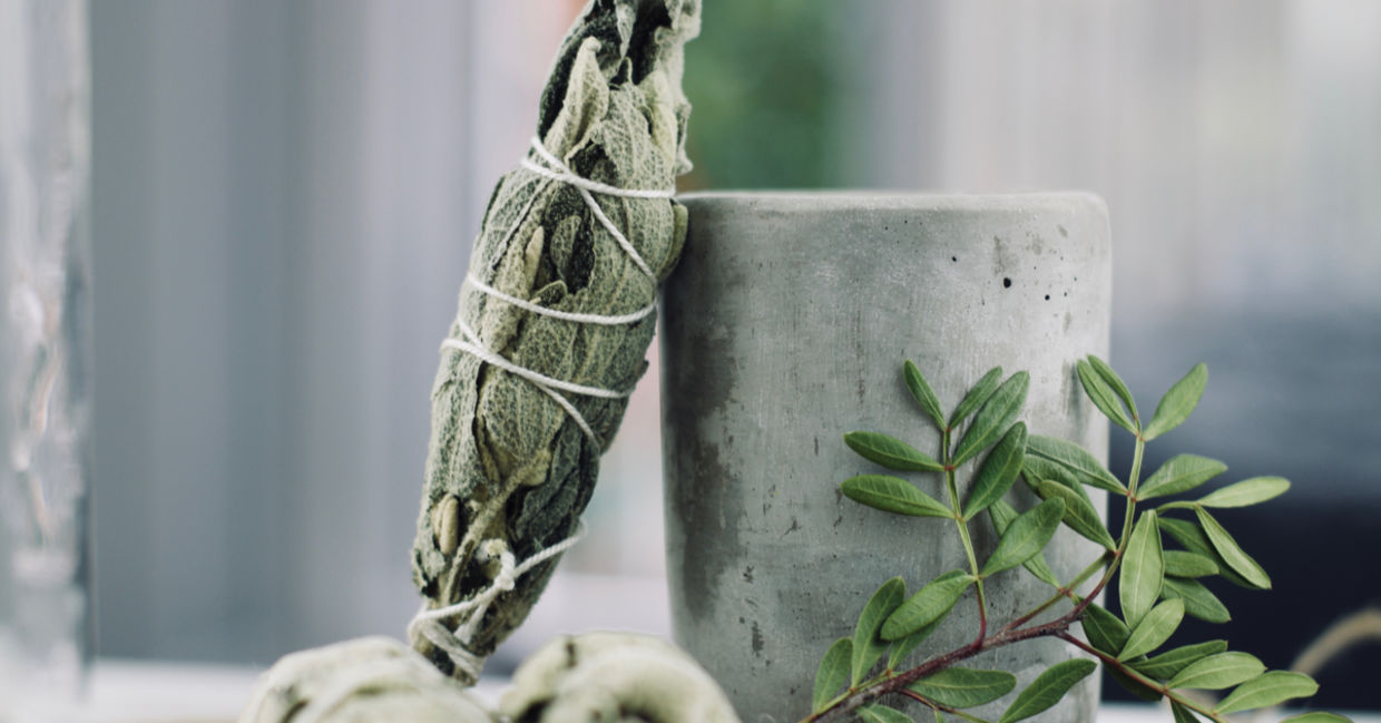 Sage is used in natural healing for purification. Sage is used in natural healing for purification.