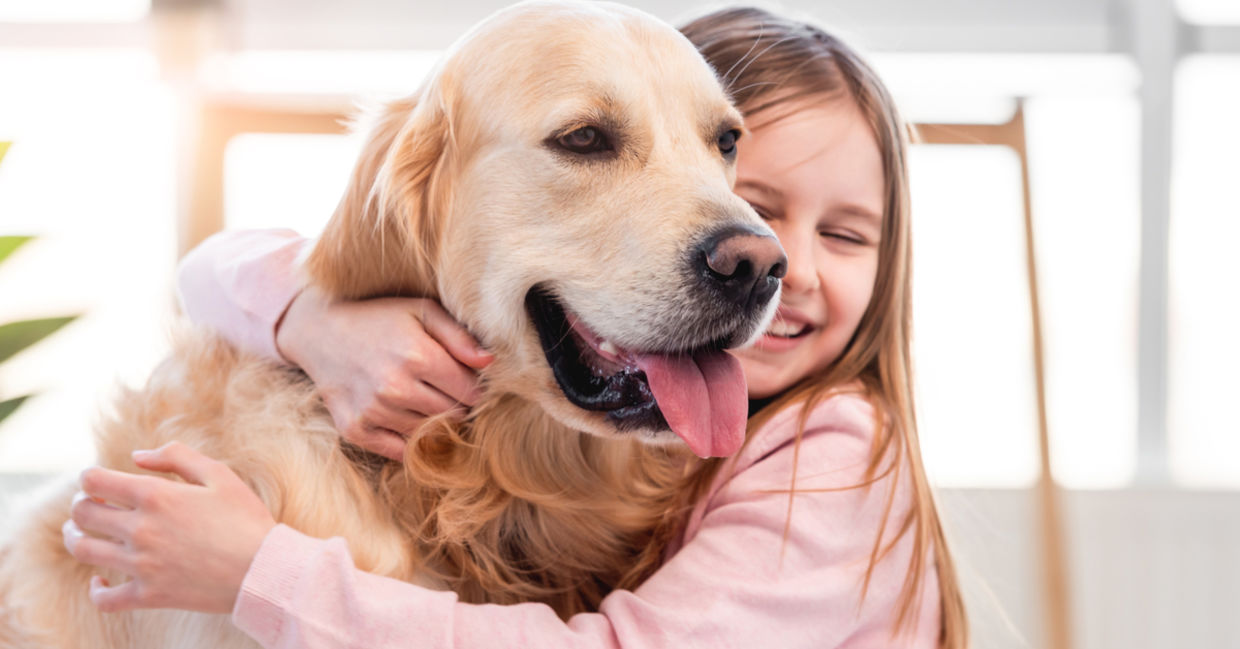 Little girl hugging her golden retriever dog and smiling. Little girl hugging her golden retriever dog and smiling.