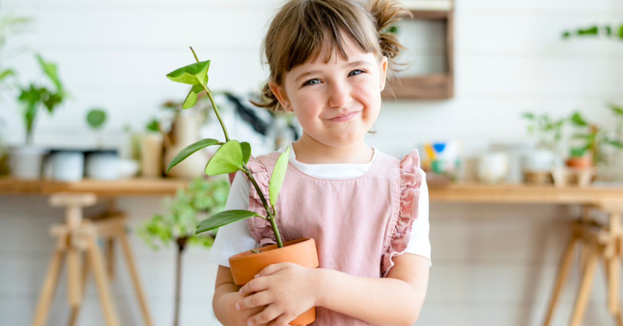 Cute kid holding a potted plant. Cute kid holding a potted plant.