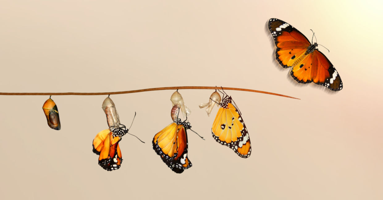 Change can be difficult. Change can be difficult.