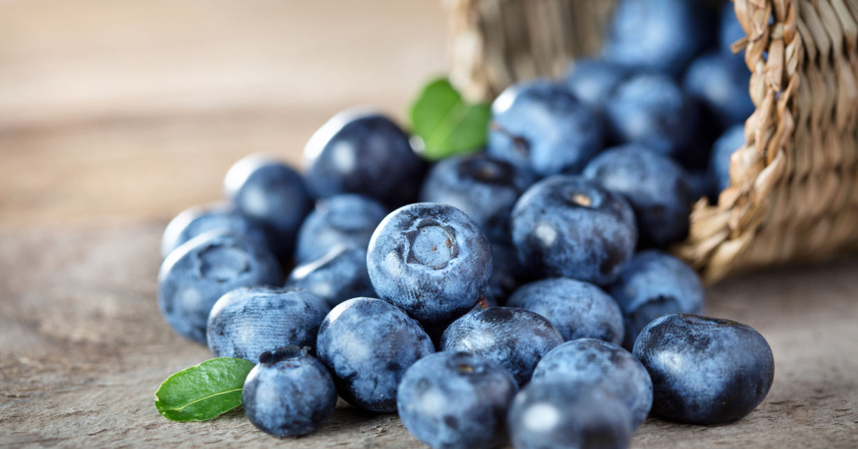 Blueberries are a superfood. Blueberries are a superfood.