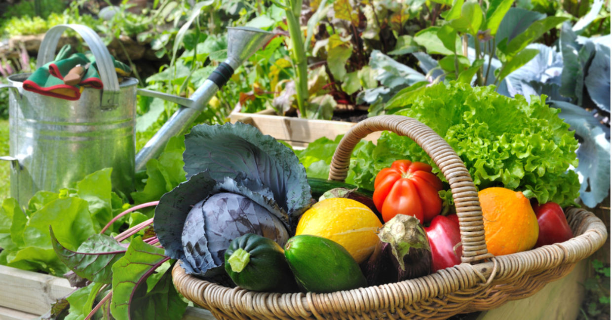 Even a small garden can give you fresh produce all summer long. Even a small garden can give you fresh produce all summer long.