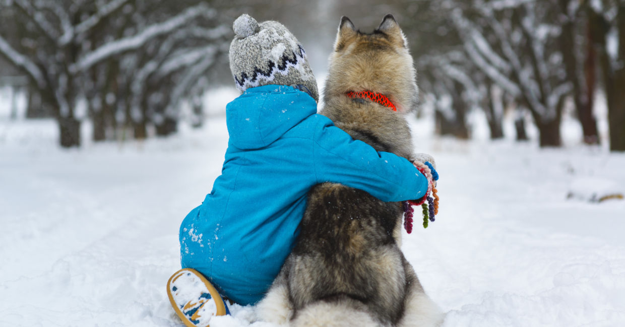 A boy and his best friend. A boy and his best friend.