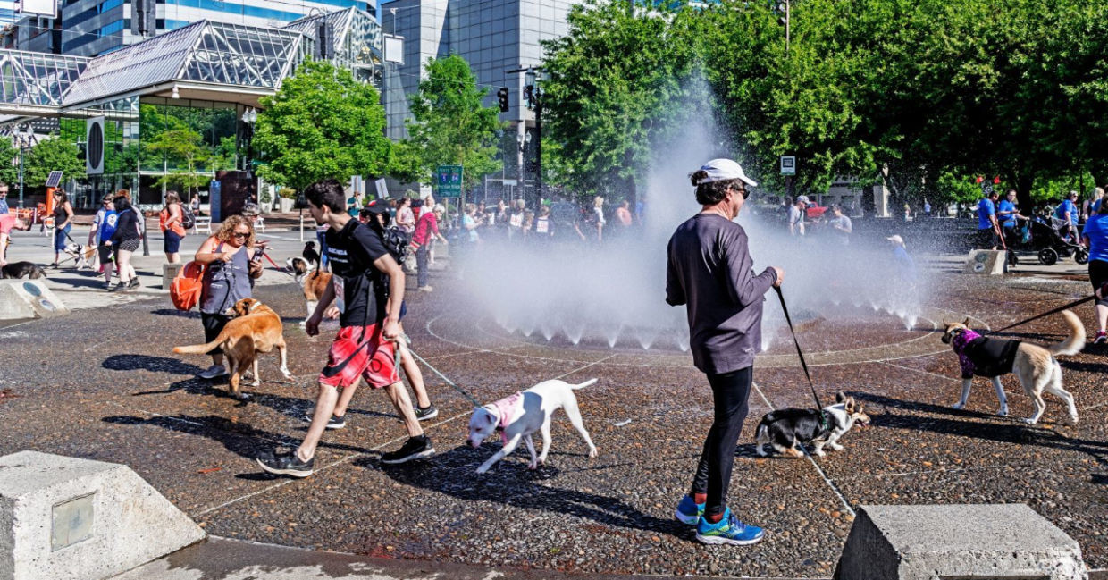 People and dogs cooling off in Portland. People and dogs cooling off in Portland.