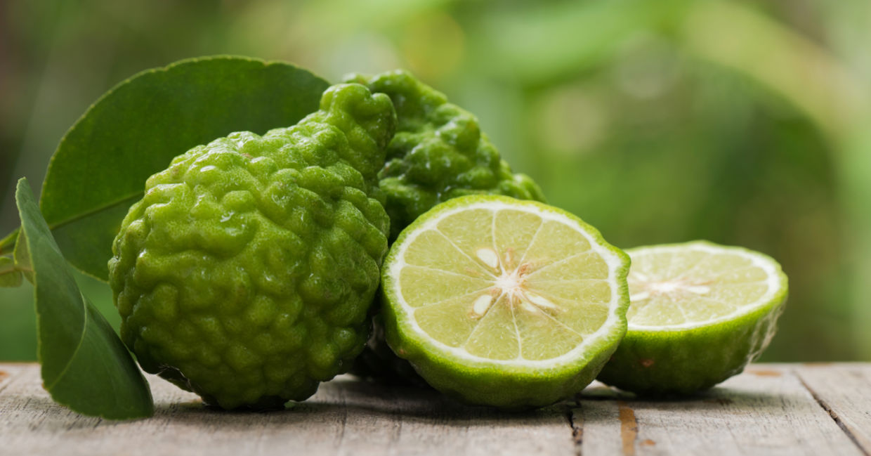 Bergamot peels are used to make a calming essential oil. Bergamot peels are used to make a calming essential oil.