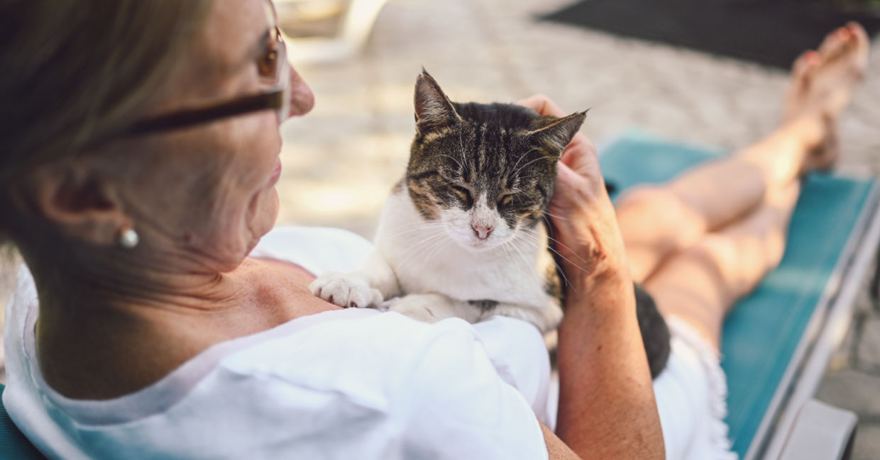 Happy senior woman in glasses relaxing with her tabby cat. Happy senior woman in glasses relaxing with her tabby cat.