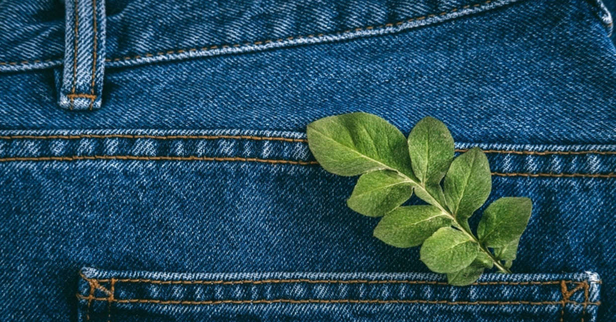 A pair of sustainable jeans with green leaves in the back pocket. A pair of sustainable jeans with green leaves in the back pocket.