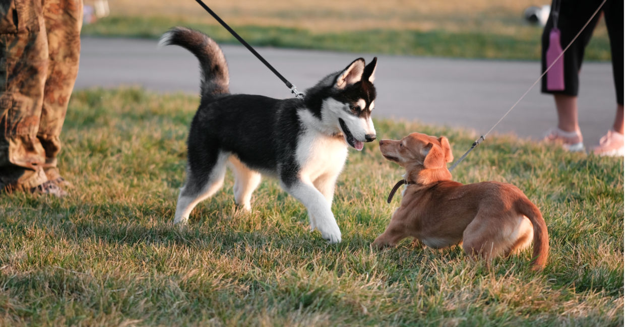 Be a social animal. Be a social animal.