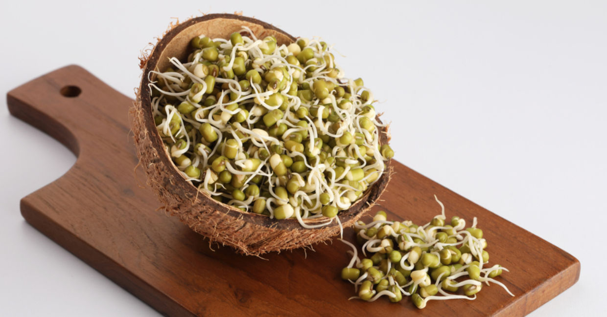 Sprouted mung beans. Sprouted mung beans.