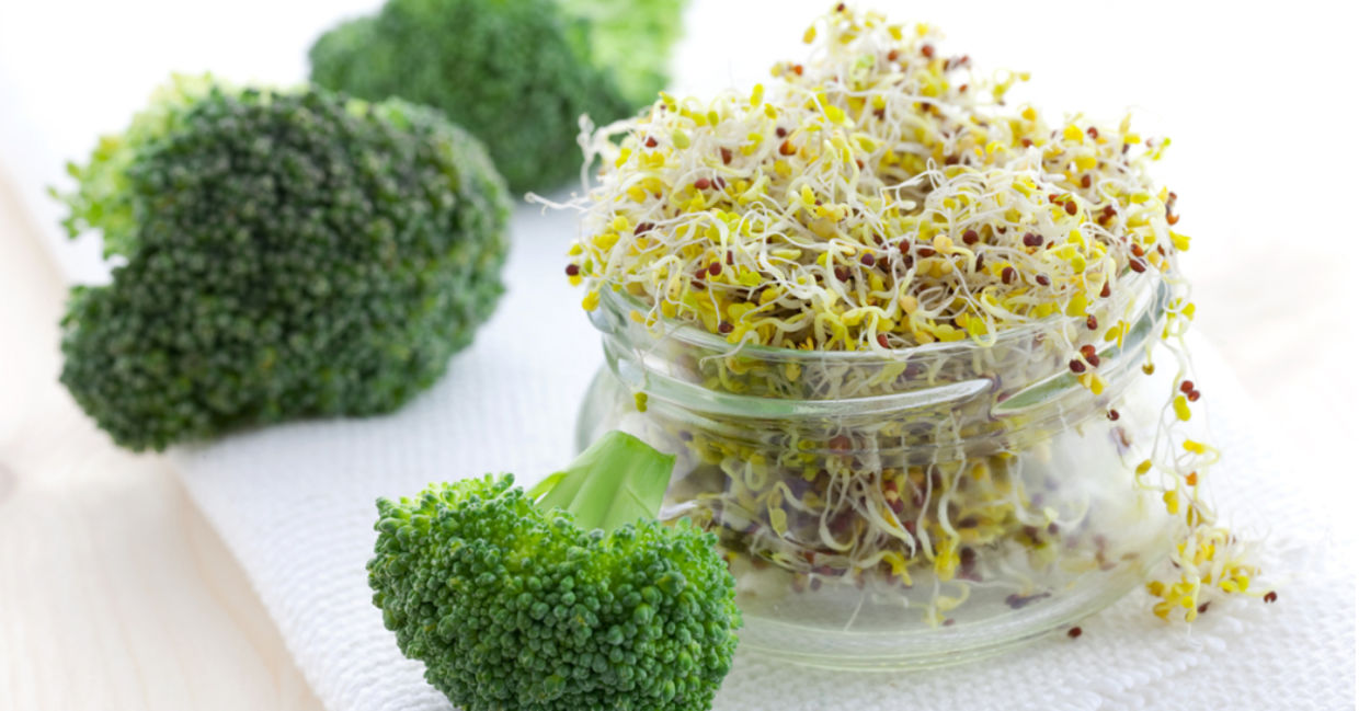 Fresh broccoli sprouts in a glass jar. Fresh broccoli sprouts in a glass jar.