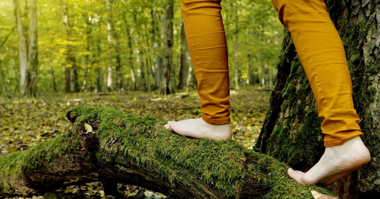 Forest bathing is awe inspiring. Forest bathing is awe inspiring.