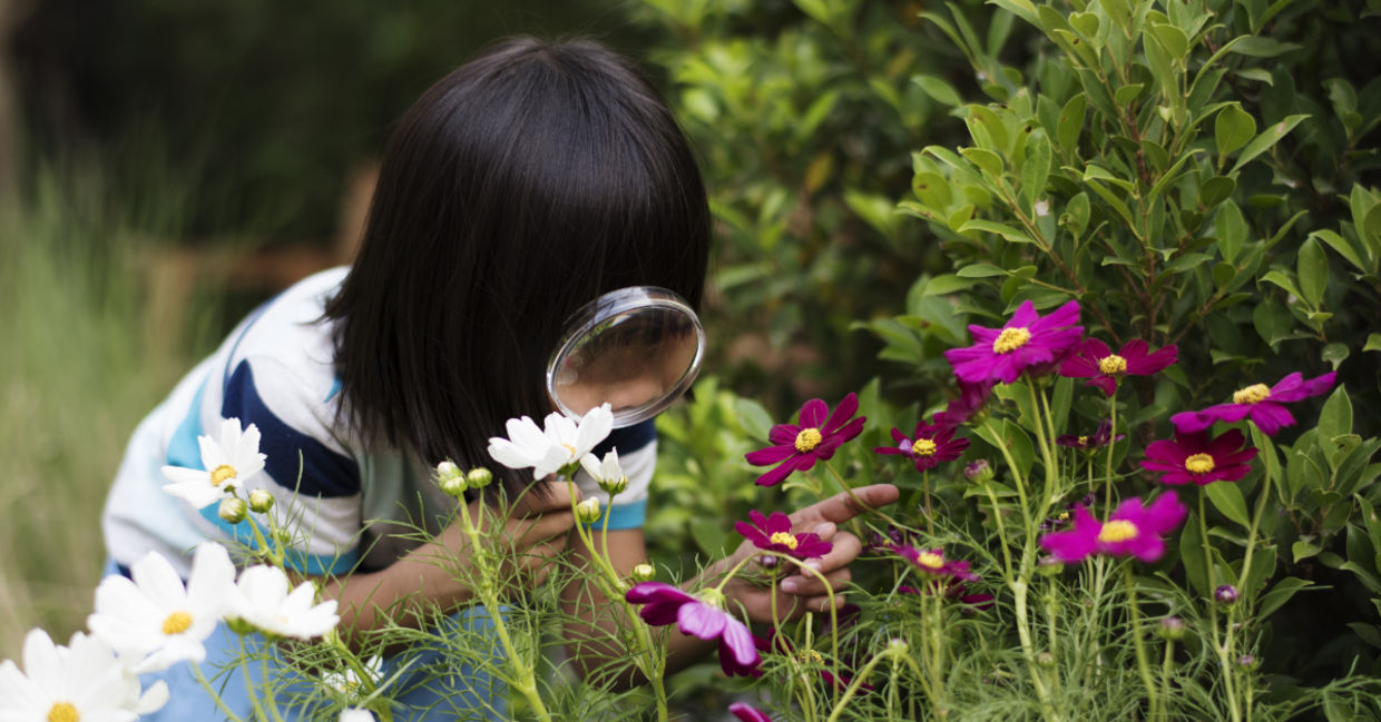 Experience wonder with a child. Experience wonder with a child.
