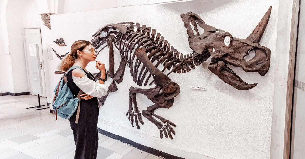 Looking at a dinosaur in a museum. Looking at a dinosaur in a museum.