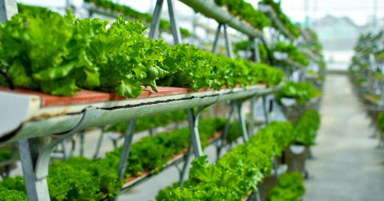 Vertical farming systems. Vertical farming systems.