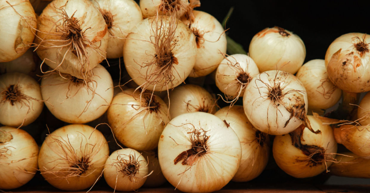 Onions harvested in cold weather months. Onions harvested in cold weather months.