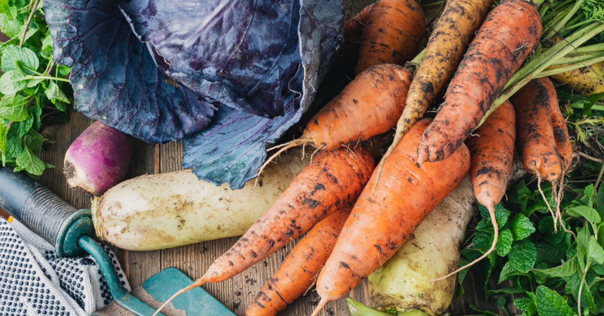 Carrots and other winter vegetables Carrots and other winter vegetables