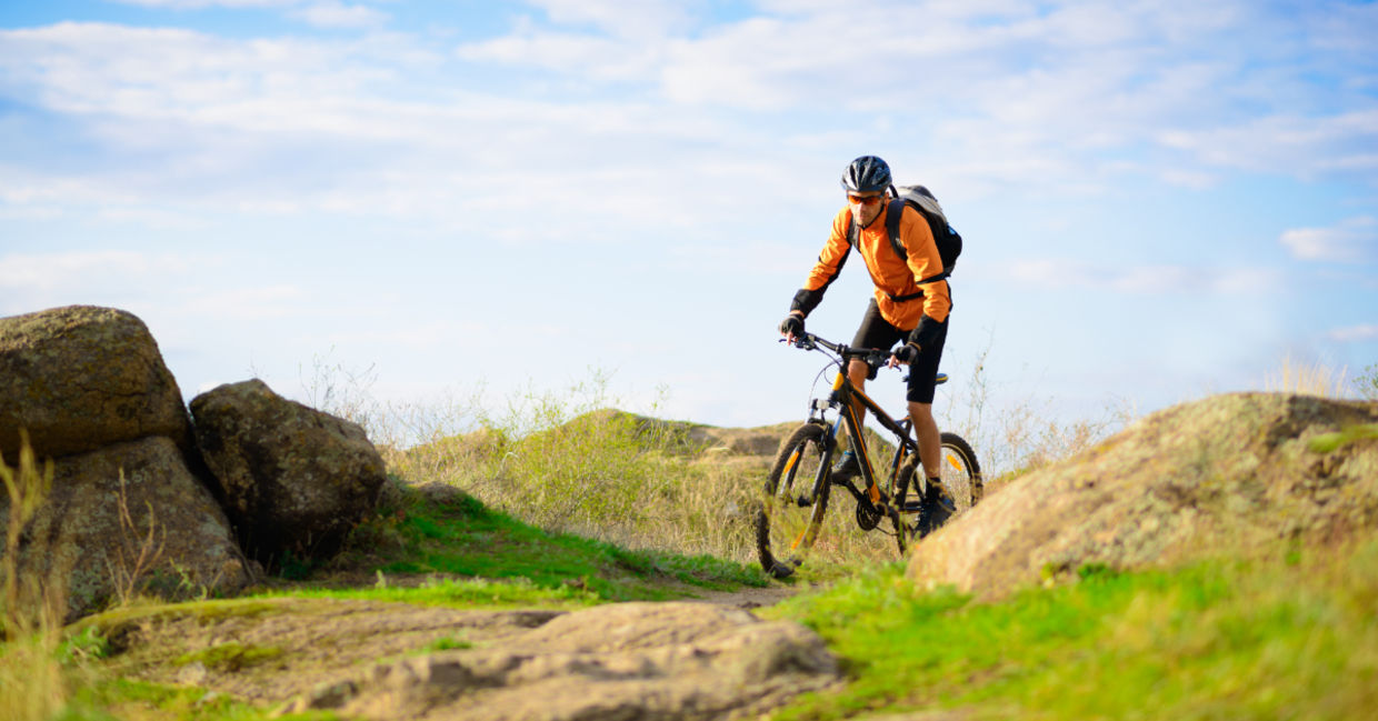 Riding in nature. Riding in nature.