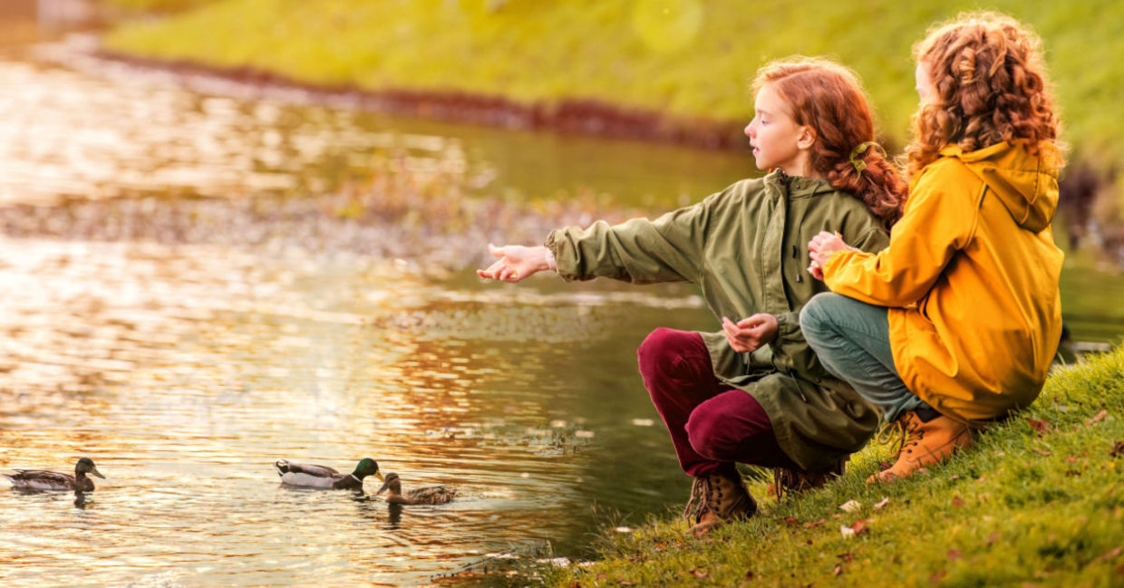 Two young girls feed ducks at a pond. Two young girls feed ducks at a pond.