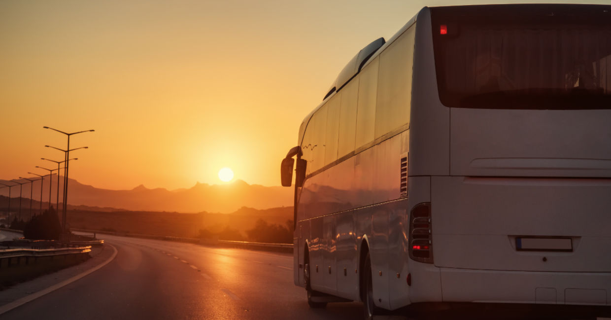 White bus. White bus.