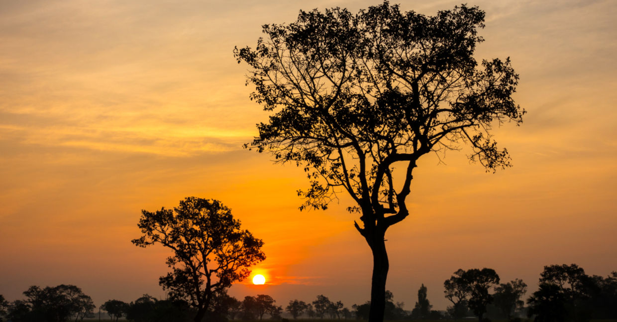 Sunset in Asia. Sunset in Asia.