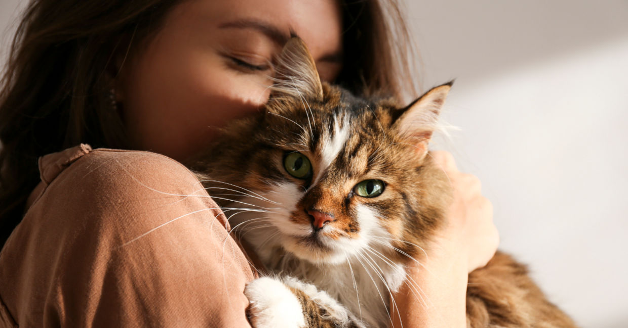 Woman cuddling a cute cat. Woman cuddling a cute cat.