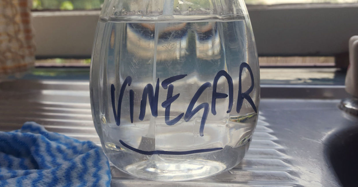 Vinegar is a strong odor remover. Vinegar is a strong odor remover.
