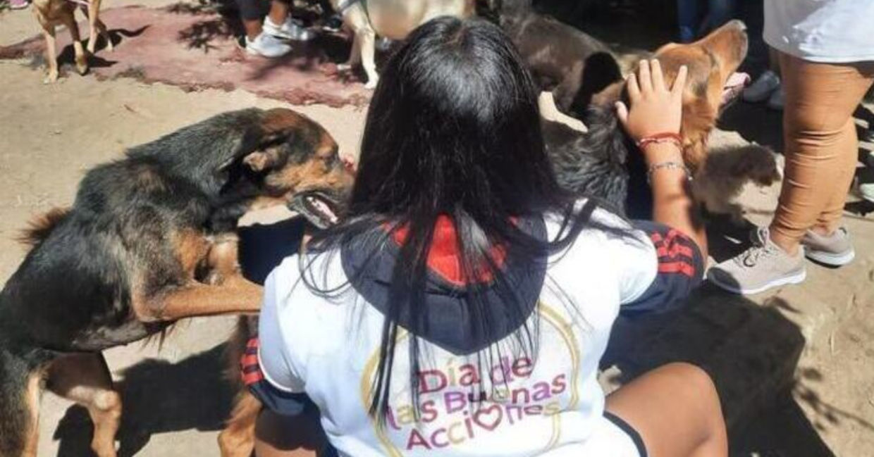 Taking care od dogs on Good Deeds Day. Taking care od dogs on Good Deeds Day.