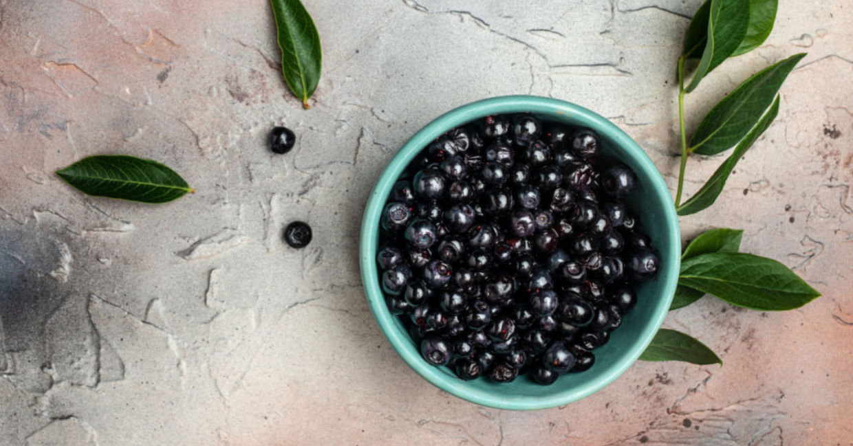 Maqui berries in a bowl. Maqui berries in a bowl.