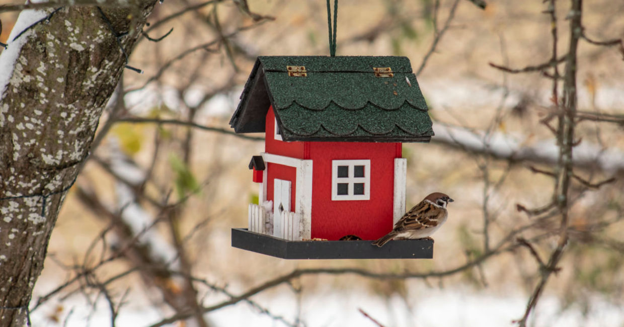 Having a birdhouse in your yard is good for the birds and for you. Having a birdhouse in your yard is good for the birds and for you.