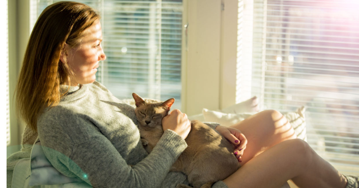 Woman in sunny room. Woman in sunny room.