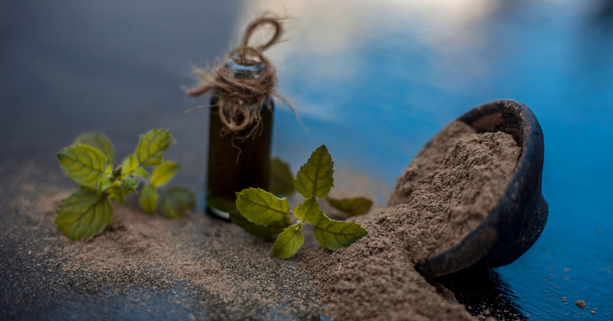 Bacopa is grown in India and used for healing. Bacopa is grown in India and used for healing.