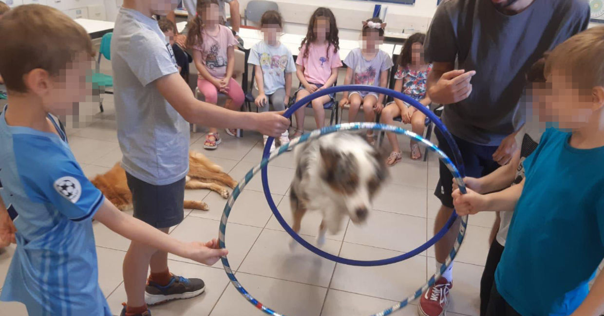 Pictured, Gal Mizrachi, Canine-Assisted Specialist and his partner, Elliot the therapy dog Pictured, Gal Mizrachi, Canine-Assisted Specialist and his partner, Elliot the therapy dog