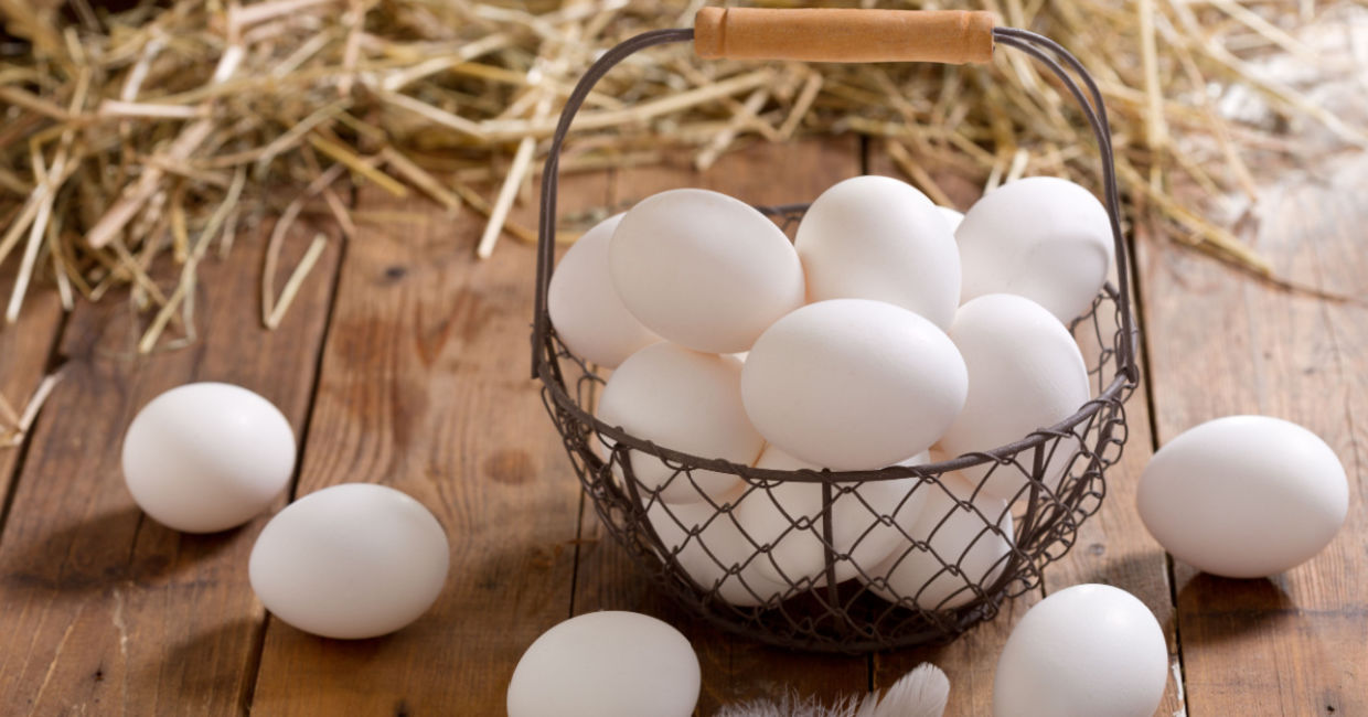 Farm fresh eggs. Farm fresh eggs.