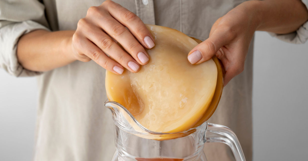 A SCOBY used for making kombucha. A SCOBY used for making kombucha.
