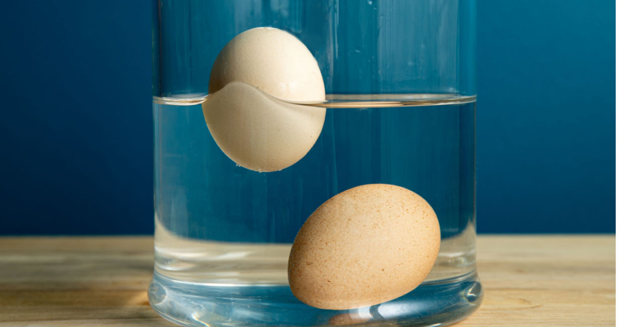 Testing eggs for freshness. Testing eggs for freshness.