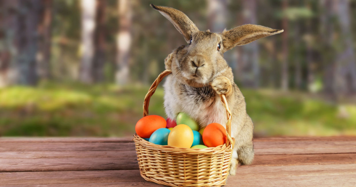 An adorable Easter bunny with colored eggs. An adorable Easter bunny with colored eggs.
