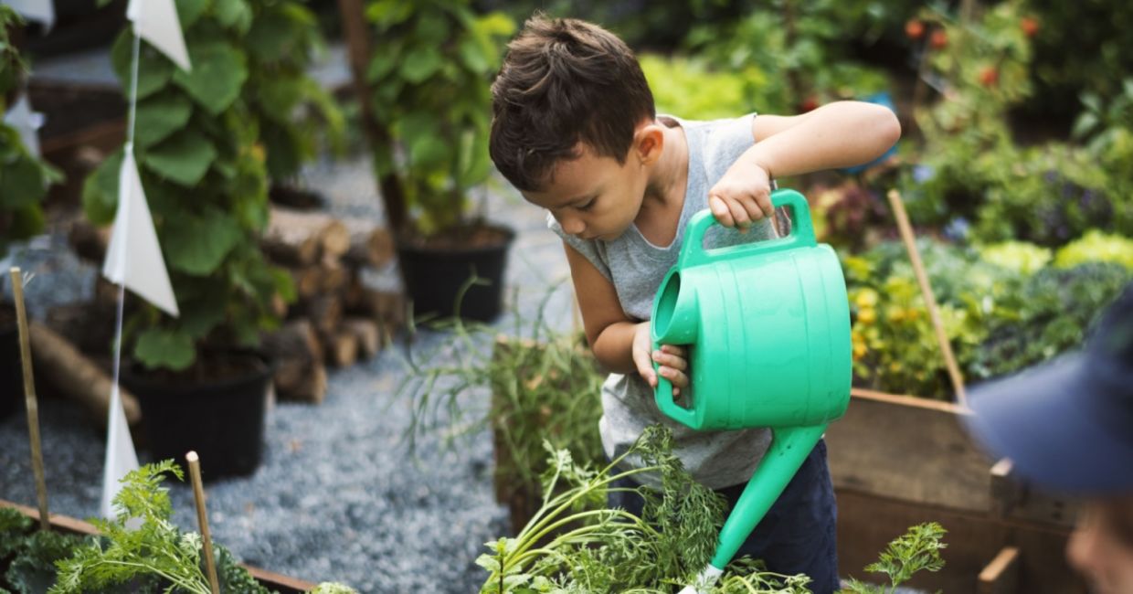 Helping to water a community garden. Helping to water a community garden.