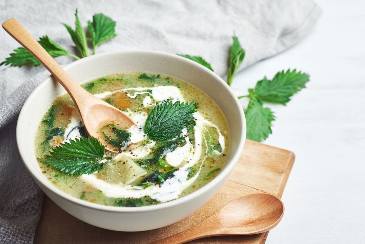 Vegan nettle soup . Vegan nettle soup .