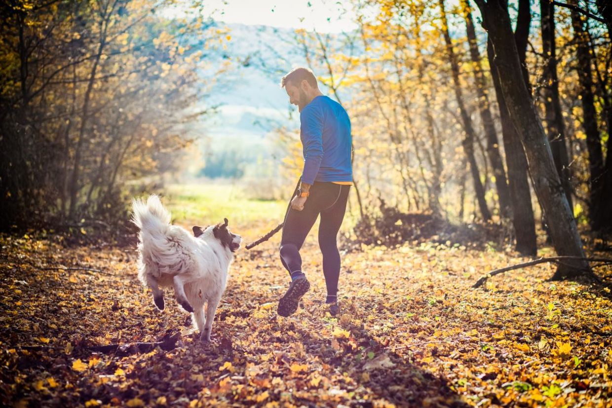 Taking a walk in a park. Taking a walk in a park.