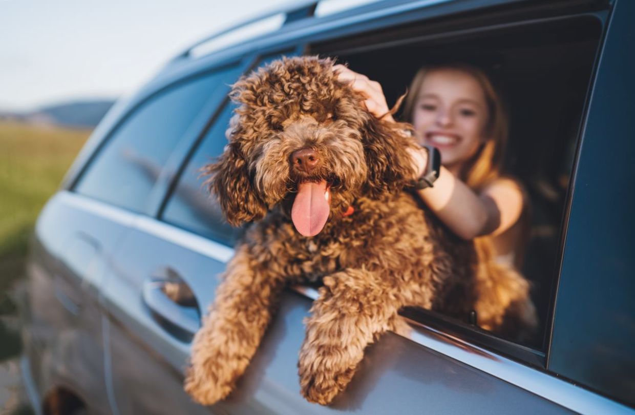 Family taking a road trip with their dog. Family taking a road trip with their dog.