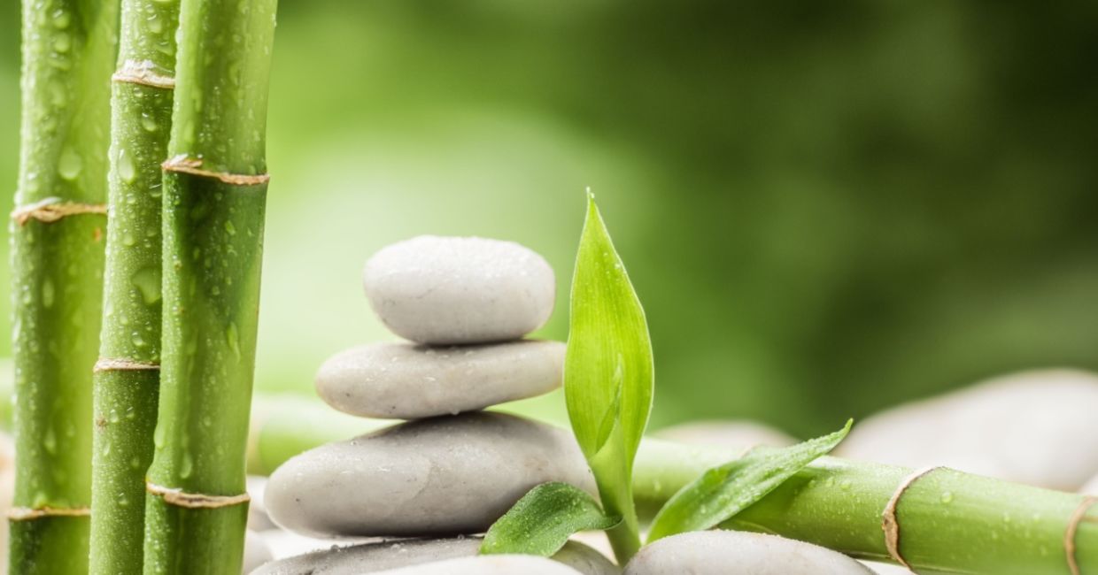 Connect to your higher self. Connect to your higher self.