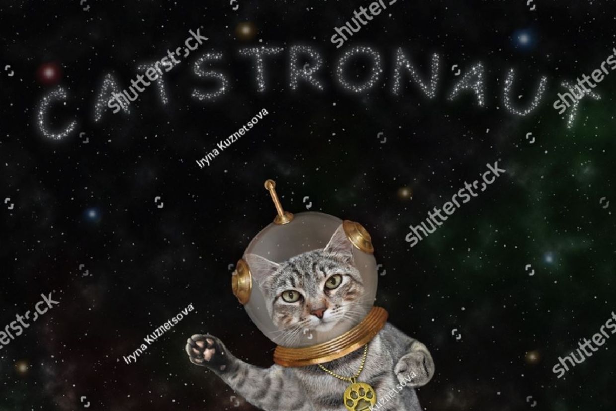 Cat astronaut.. Cat astronaut..