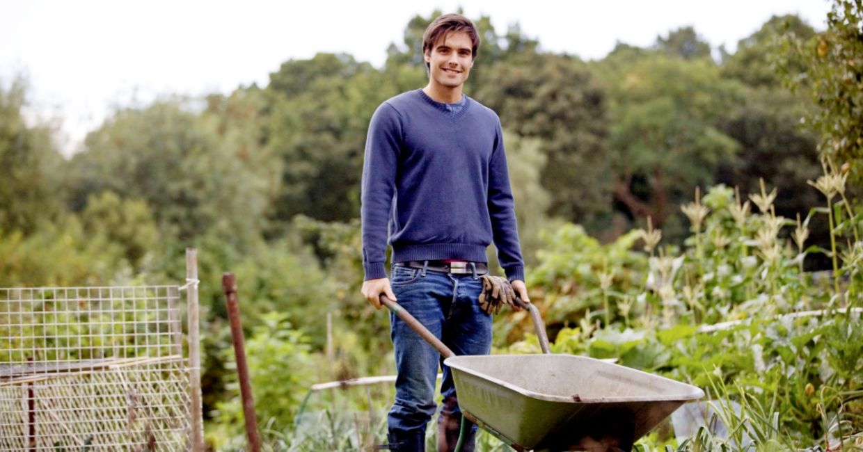 A young man pushing a wheelbarrow on an allotment. A young man pushing a wheelbarrow on an allotment.