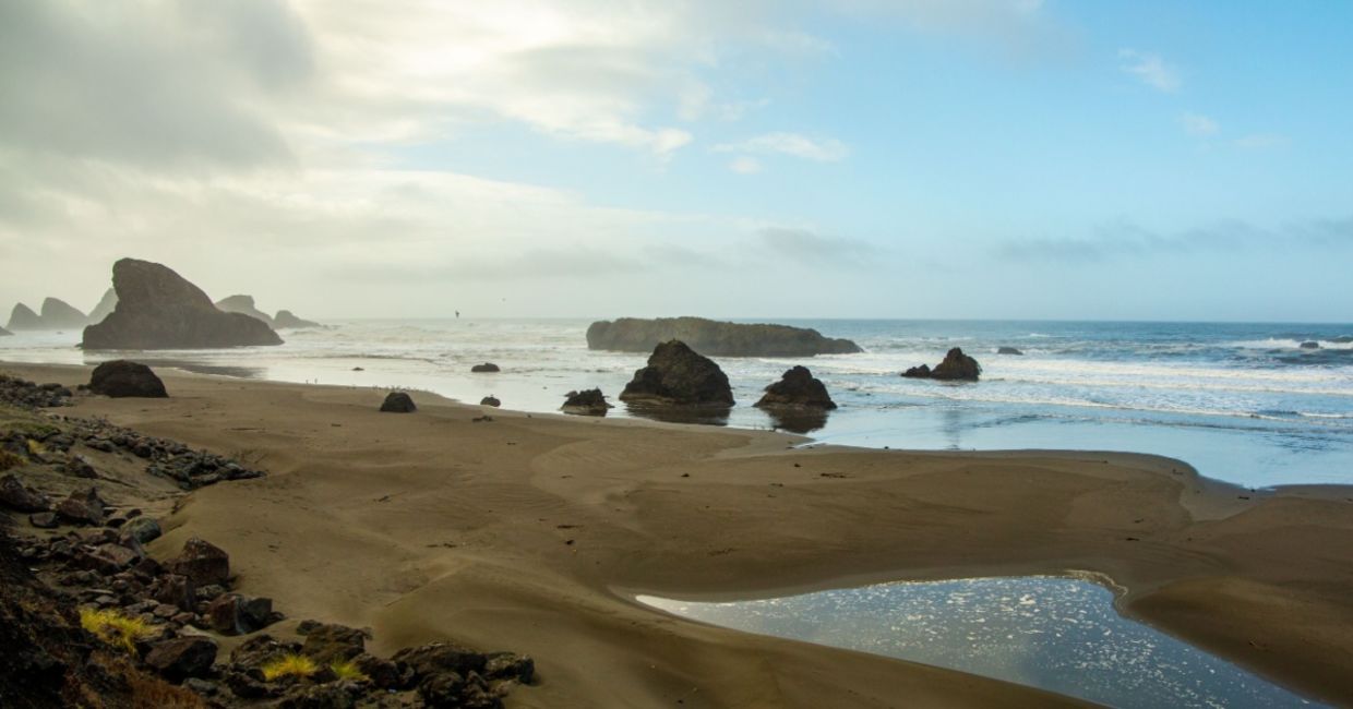 A dream-like beach on the West Coast of America on a calm and foggy day. A dream-like beach on the West Coast of America on a calm and foggy day.