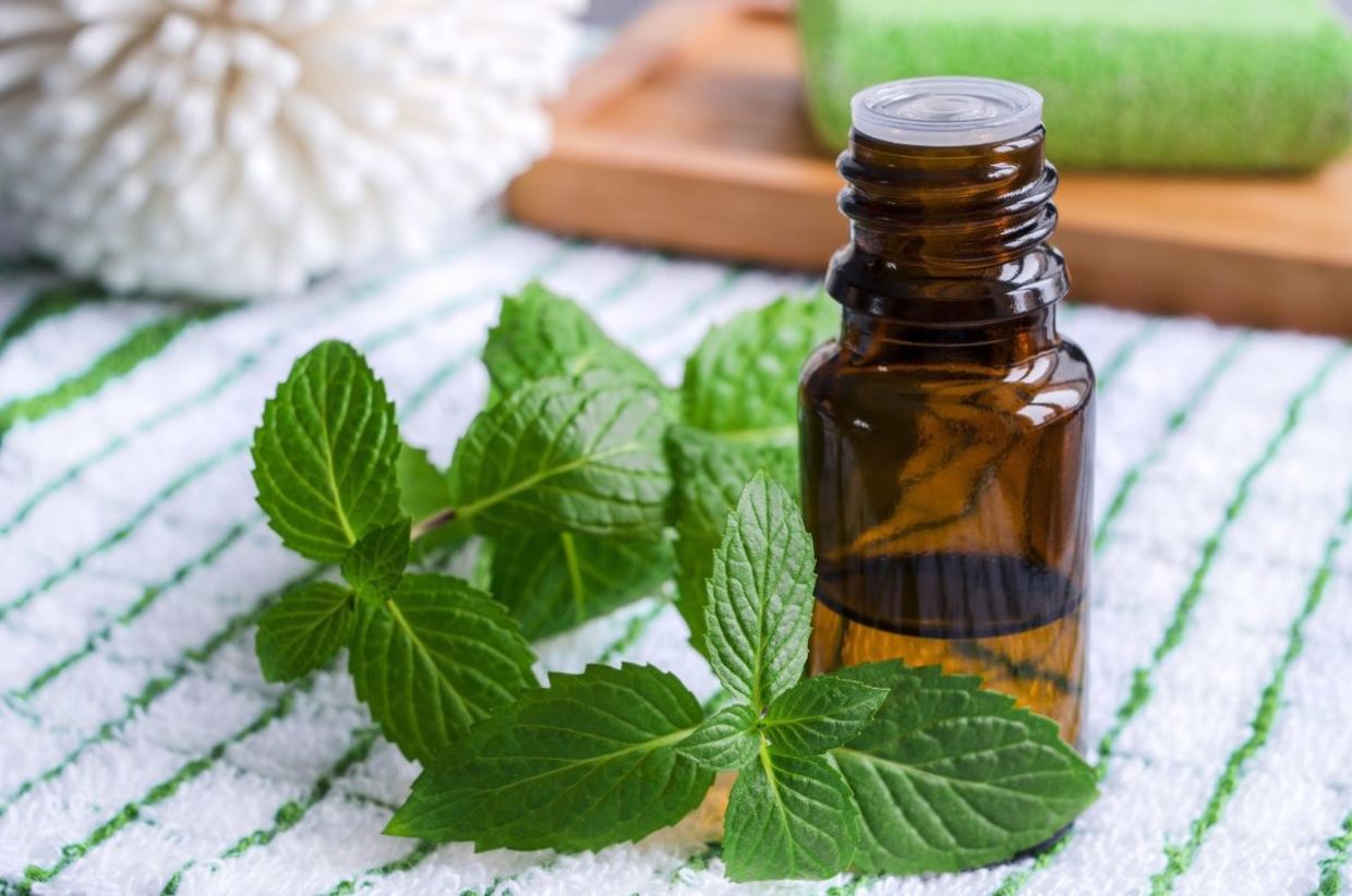 Peppermint essential oil. Peppermint essential oil.