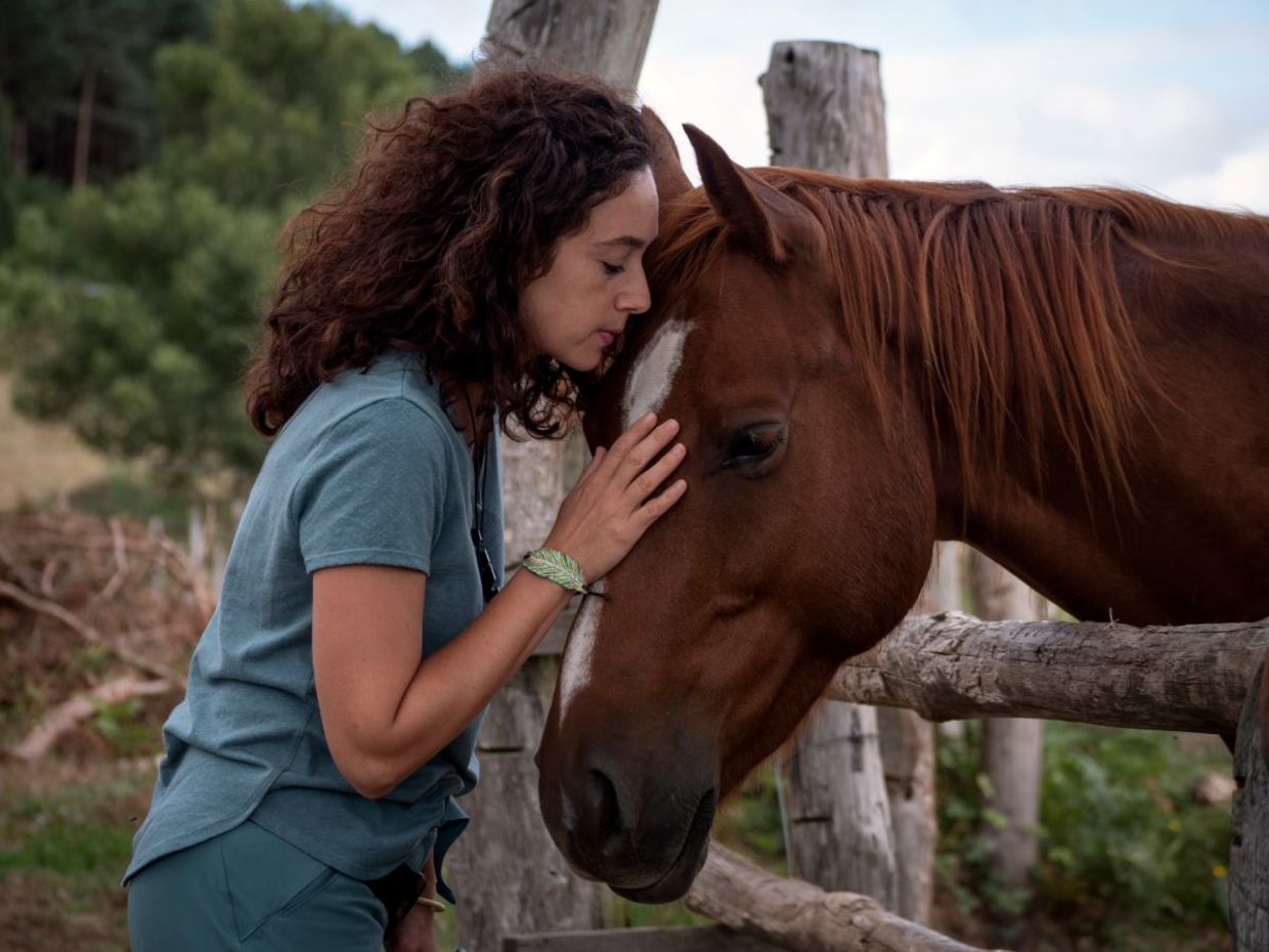 Equine therapy helps people disconnect from trauma. Equine therapy helps people disconnect from trauma.