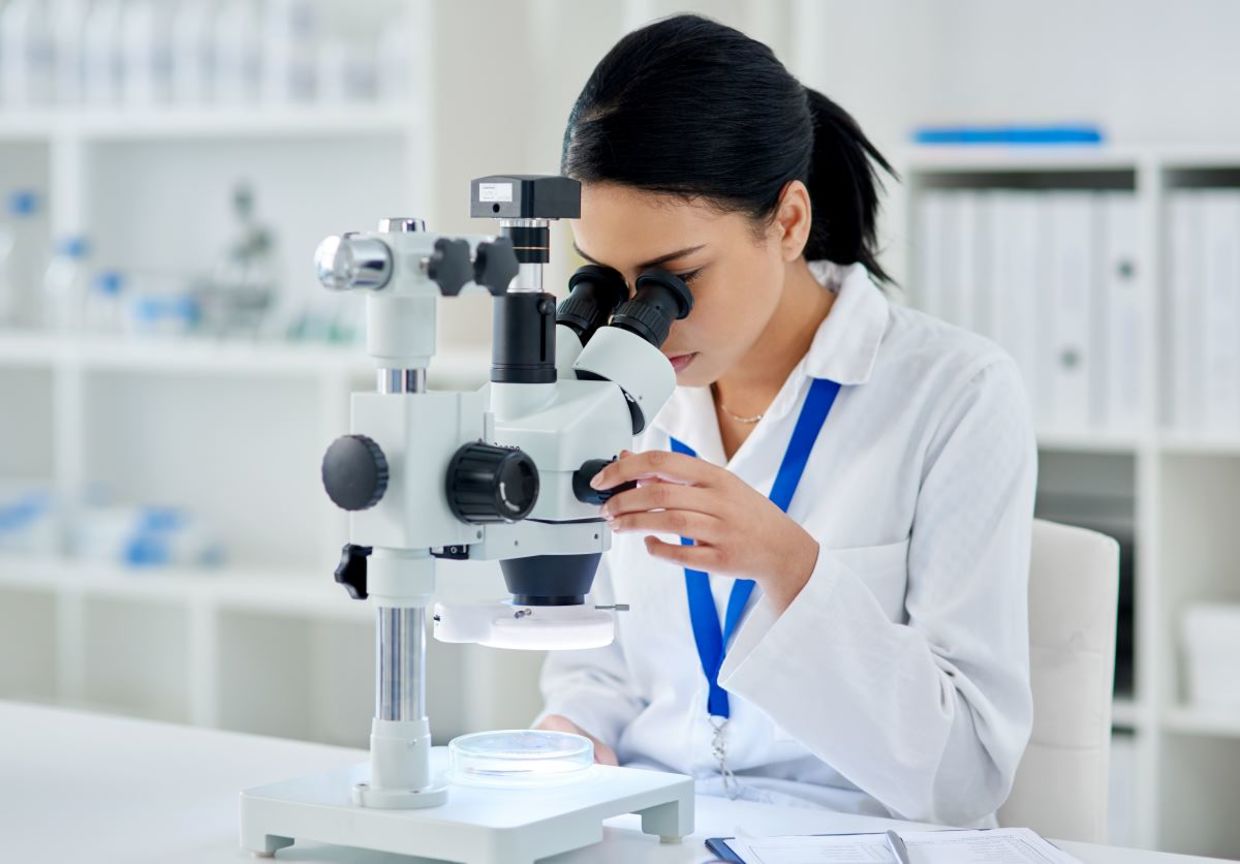 Scientists are working on how to manipulate the DNA of bacteria. Scientists are working on how to manipulate the DNA of bacteria.