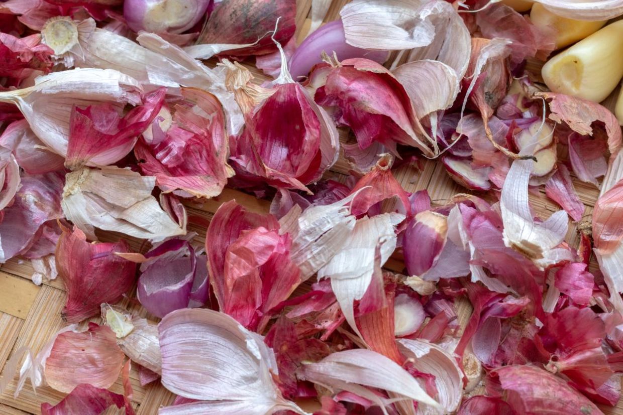 You can cook with onion skins. You can cook with onion skins.